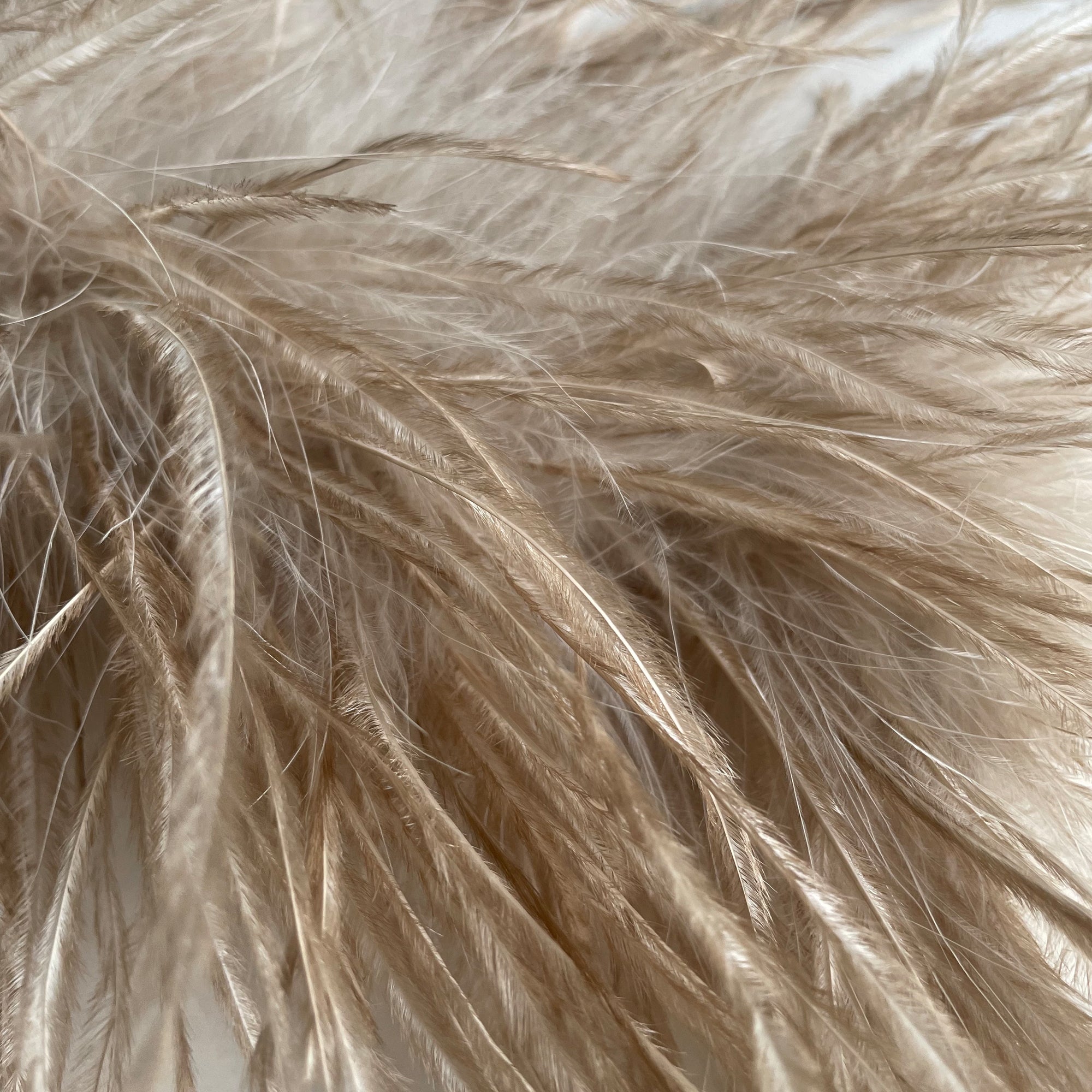 Beige Ostrich Feather Bracelet, Olive Green Feather Wristband, Snap on Feather Boa Cuffs